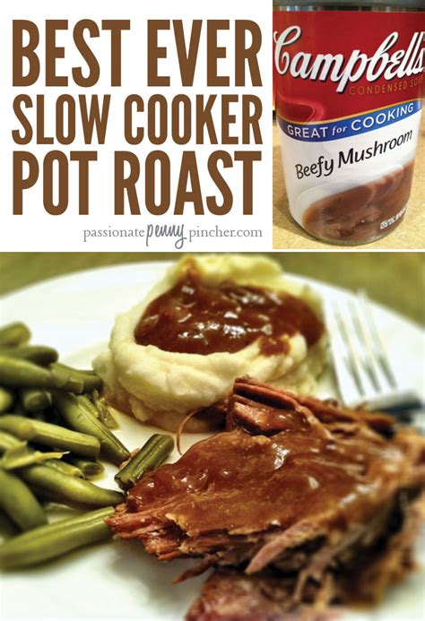 passionate penny pincher slow cooker recipes